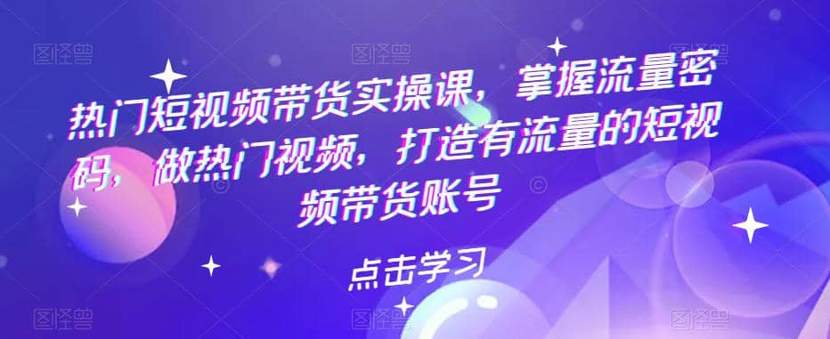 热门短视频带货实战 掌握流量密码 做热门视频 打造有流量的短视频带货账号-讯领网创