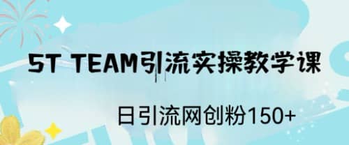 ST TEAM引流实操课，日引流网创粉100+-讯领网创