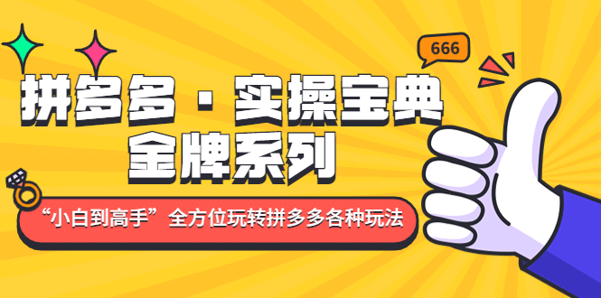 拼多多·实操宝典：金牌系列“小白到高手”带你全方位玩转拼多多各种玩法-讯领网创