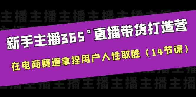 新手主播365°直播带货·打造营，在电商赛道拿捏用户人性取胜（14节课）-讯领网创