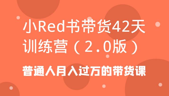 小Red书带货42天训练营（2.0版）普通人月入过万的带货课-讯领网创