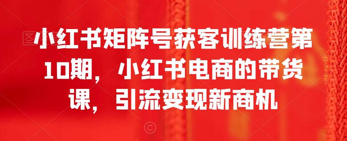 小红书矩阵号获客训练营第10期，小红书电商的带货课，引流变现新商机-讯领网创