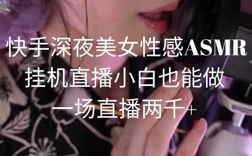 快手深夜美女性感ASMR挂机直播，小白也能做，一场直播两千+-讯领网创