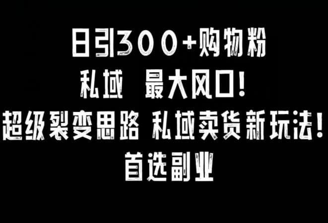 日引300+购物粉，超级裂变思路，私域卖货新玩法，小红书首选副业【揭秘】-讯领网创