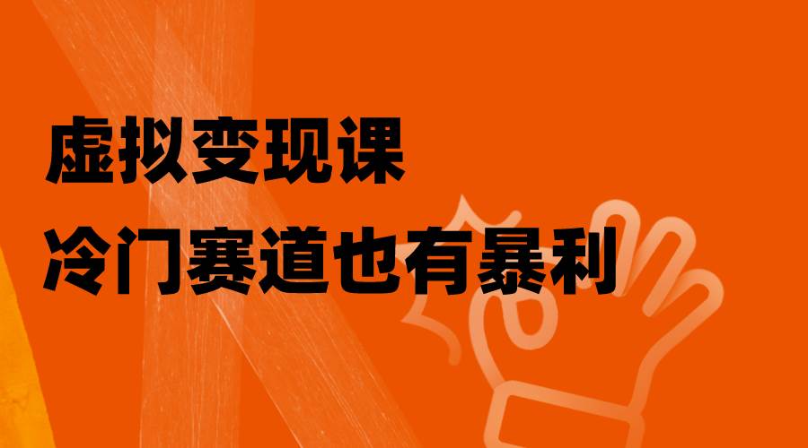 虚拟变现课，冷门赛道也有暴利，手把手教你玩转冷门私域-讯领网创