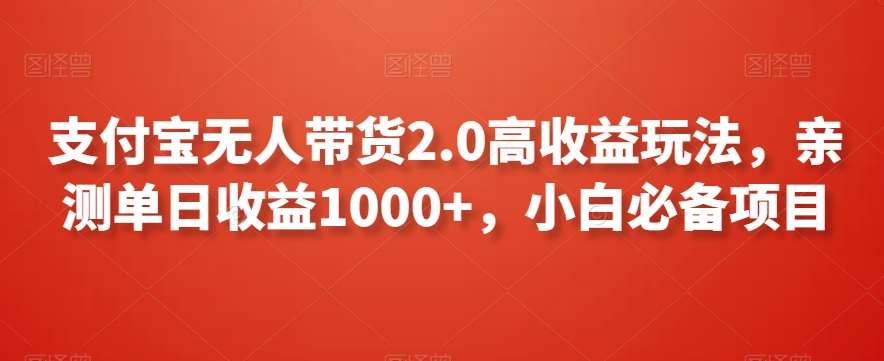 支付宝无人带货2.0高收益玩法，亲测单日收益1000+，小白必备项目【揭秘】-讯领网创