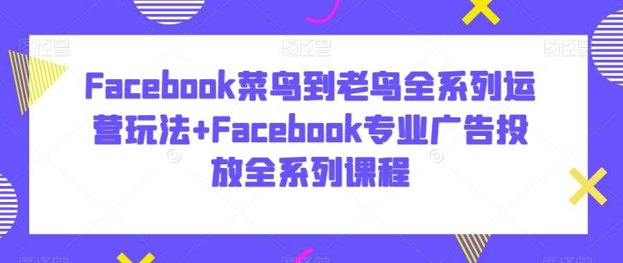 Facebook菜鸟到老鸟全系列运营玩法+Facebook专业广告投放全系列课程-讯领网创