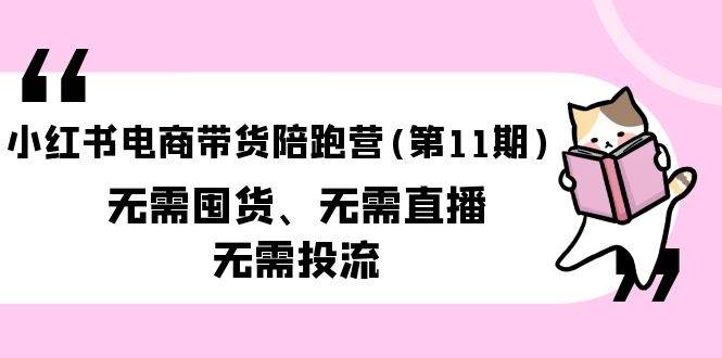 （9996期）小红书电商带货陪跑营(第11期)无需囤货、无需直播、无需投流（送往期10套）-讯领网创