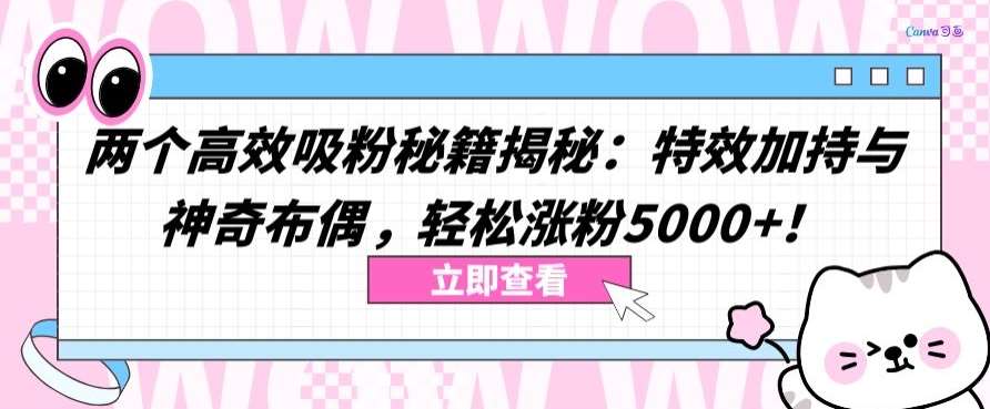 两个高效吸粉秘籍揭秘：特效加持与神奇布偶，轻松涨粉5000+【揭秘】-讯领网创