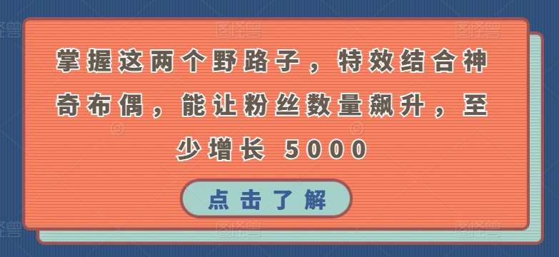 掌握这两个野路子，特效结合神奇布偶，能让粉丝数量飙升，至少增长 5000【揭秘】-讯领网创