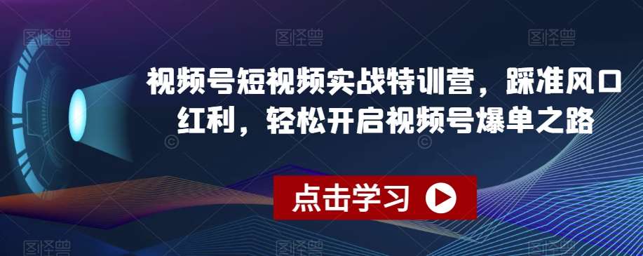 视频号短视频实战特训营，踩准风口红利，轻松开启视频号爆单之路-讯领网创