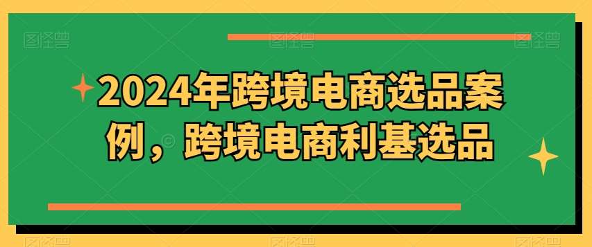 2024年跨境电商选品案例，跨境电商利基选品-讯领网创