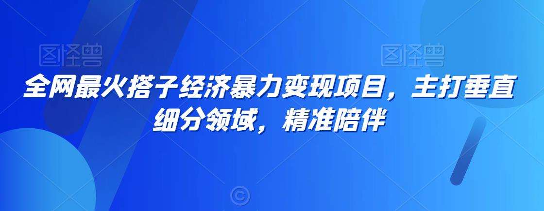 全网最火搭子经济暴力变现项目，主打垂直细分领域，精准陪伴【揭秘】-讯领网创