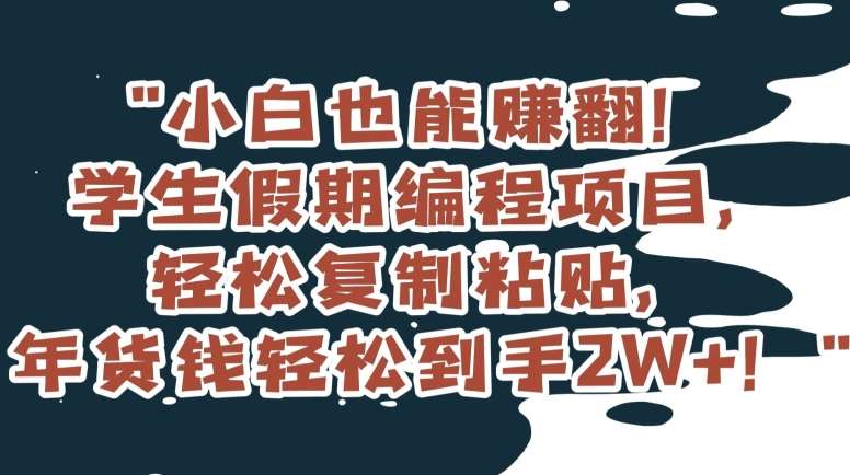 小白也能赚翻！学生假期编程项目，轻松复制粘贴，年货钱轻松到手2W+【揭秘】-讯领网创