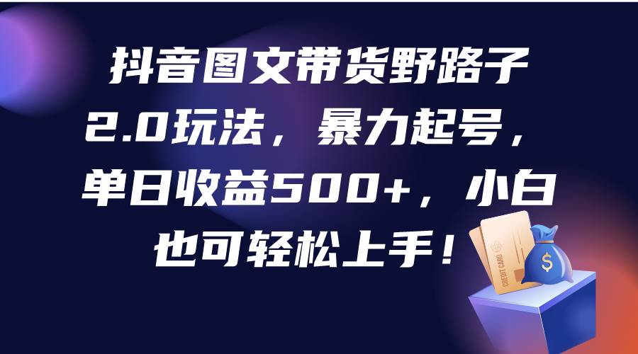 抖音图文带货野路子2.0玩法，暴力起号，单日收益500+，小白也可轻松上手！-讯领网创