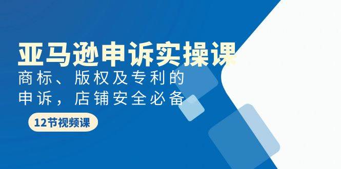 （9754期）亚马逊-申诉实战课，​商标、版权及专利的申诉，店铺安全必备-讯领网创