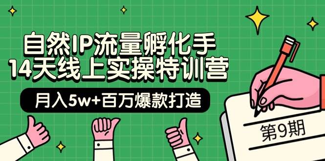 （9881期）自然IP流量孵化手 14天线上实操特训营【第9期】月入5w+百万爆款打造 (74节)-讯领网创