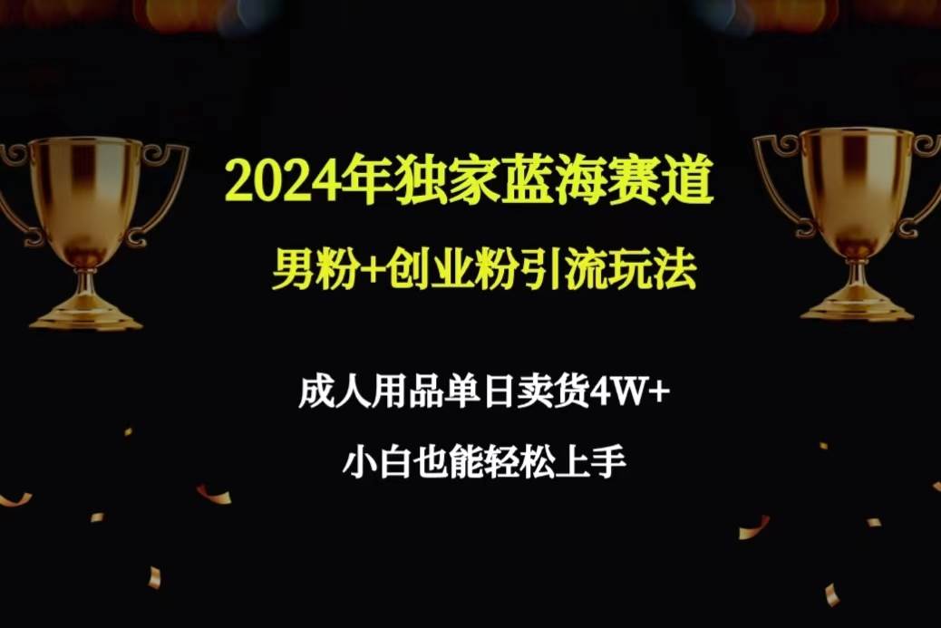 2024年独家蓝海赛道男粉+创业粉引流玩法，成人用品单日卖货4W+保姆教程-讯领网创