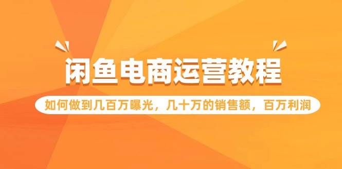 （9560期）闲鱼电商运营教程：如何做到几百万曝光，几十万的销售额，百万利润-讯领网创