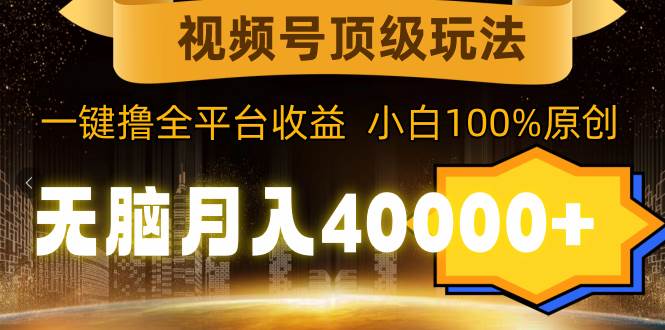 （9281期）视频号顶级玩法，无脑月入40000+，一键撸全平台收益，纯小白也能100%原创-讯领网创