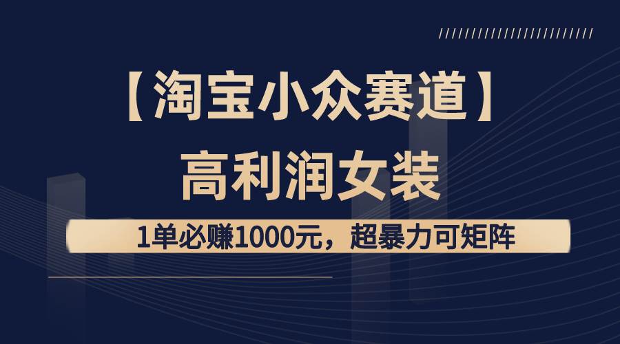 【淘宝小众赛道】高利润女装：1单必赚1000元，超暴力可矩阵-讯领网创