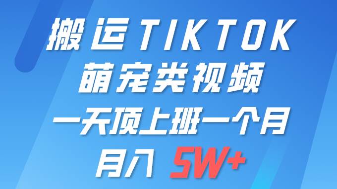 一键搬运TIKTOK萌宠类视频 一部手机即可操作 所有平台均可发布 轻松月入5W+-讯领网创