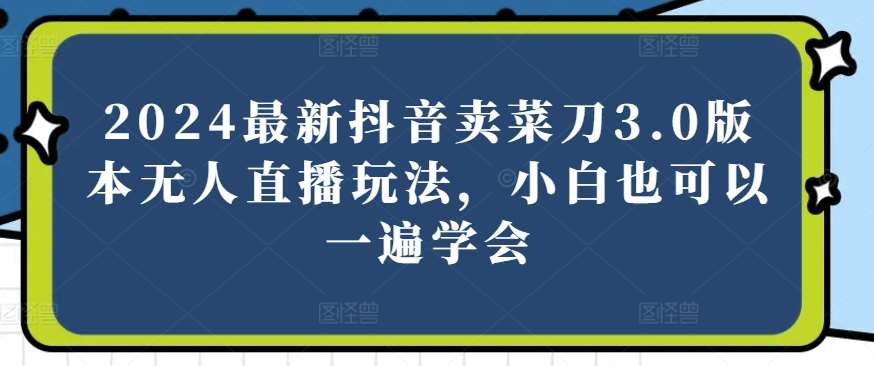 2024最新抖音卖菜刀3.0版本无人直播玩法，小白也可以一遍学会【揭秘】-讯领网创