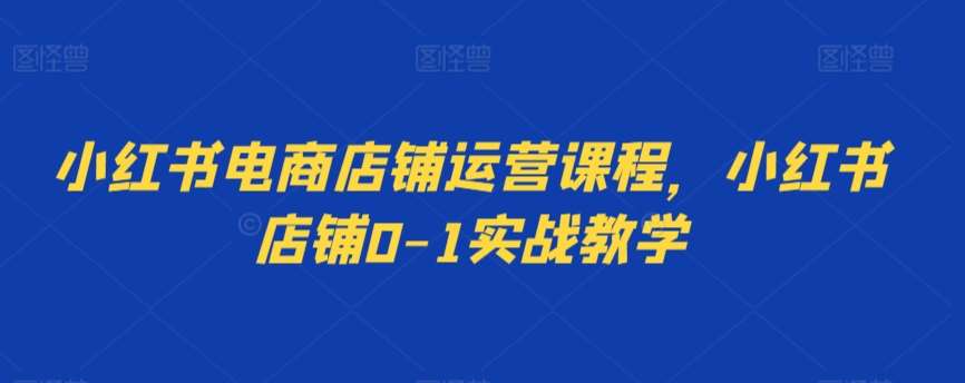 小红书电商店铺运营课程，小红书店铺0-1实战教学-讯领网创