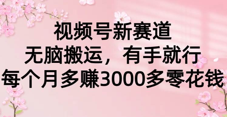 （9278期）视频号新赛道，无脑搬运，有手就行，每个月多赚3000多零花钱-讯领网创