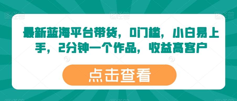 最新蓝海平台带货，0门槛，小白易上手，2分钟一个作品，收益高【揭秘】-讯领网创