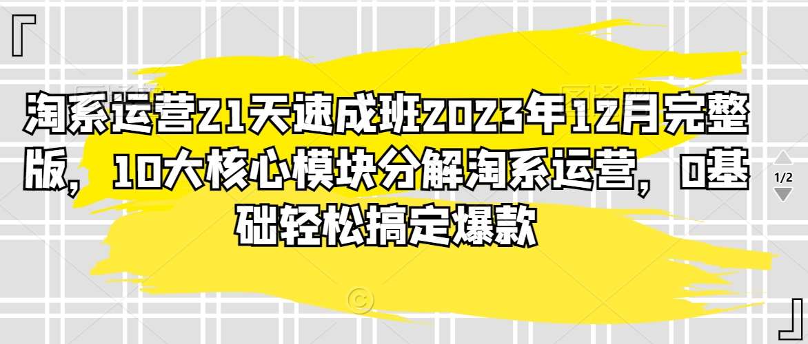 淘系运营21天速成班2023年12月完整版，10大核心模块分解淘系运营，0基础轻松搞定爆款-讯领网创