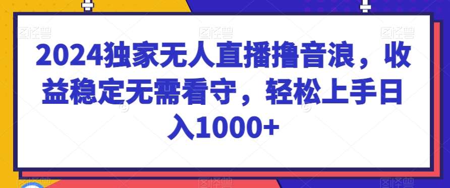 2024独家无人直播撸音浪，收益稳定无需看守，轻松上手日入1000+【揭秘】-讯领网创