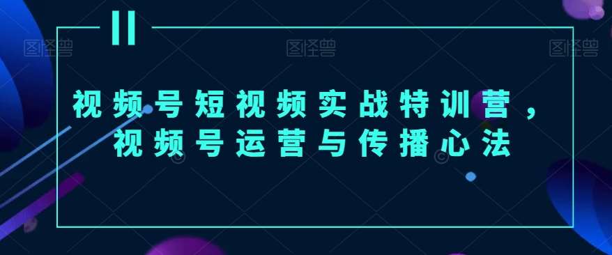 视频号短视频实战特训营，视频号运营与传播心法-讯领网创