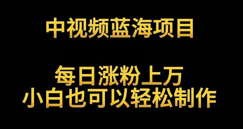 中视频蓝海项目，解读英雄人物生平，每日涨粉上万，小白也可以轻松制作，月入过万不是梦【揭秘】-讯领网创