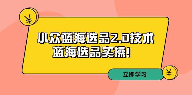 （9189期）拼多多培训第33期：小众蓝海选品2.0技术-蓝海选品实操！-讯领网创