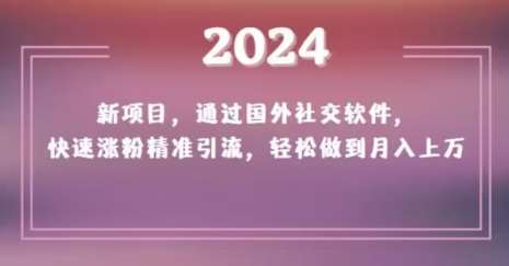 2024新项目，通过国外社交软件，快速涨粉精准引流，轻松做到月入上万【揭秘】-讯领网创