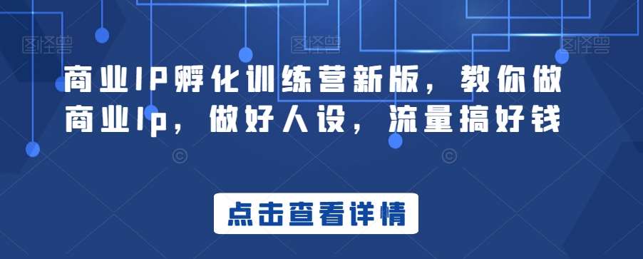 商业IP孵化训练营新版，教你做商业Ip，做好人设，流量搞好钱-讯领网创