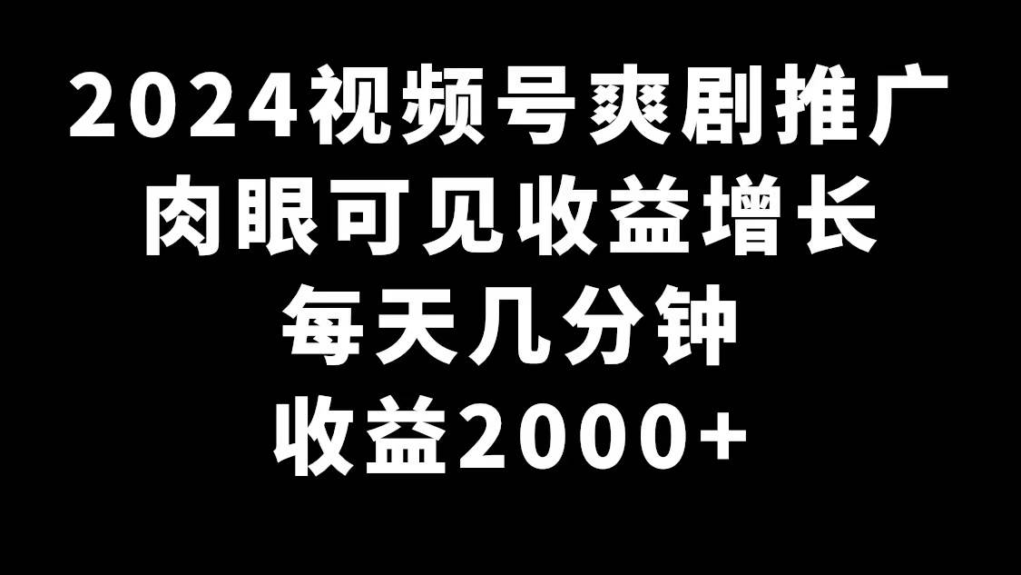 （9028期）2024视频号爽剧推广，肉眼可见的收益增长，每天几分钟收益2000+-讯领网创