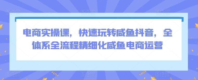 电商实操课，快速玩转咸鱼抖音，全体系全流程精细化咸鱼电商运营-讯领网创