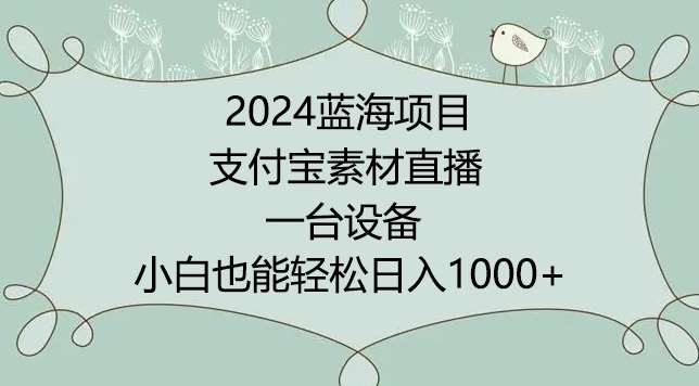 2024年蓝海项目，支付宝素材直播，无需出境，小白也能日入1000+ ，实操教程【揭秘】-讯领网创