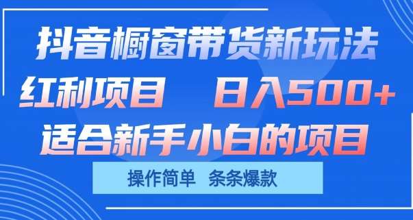 抖音橱窗带货新玩法，单日收益几张，操作简单，条条爆款【揭秘】-讯领网创