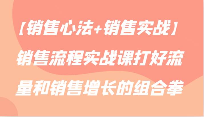 【销售心法+销售实战】销售流程实战课打好流量和销售增长的组合拳-讯领网创