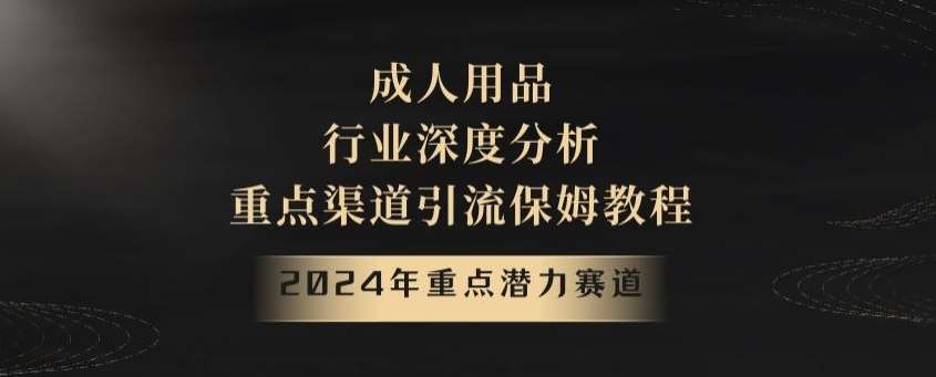 2024年重点潜力赛道，成人用品行业深度分析，重点渠道引流保姆教程【揭秘】-讯领网创