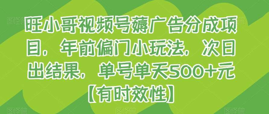 旺小哥视频号薅广告分成项目，年前偏门小玩法，次日出结果，单号单天500+元【有时效性】-讯领网创