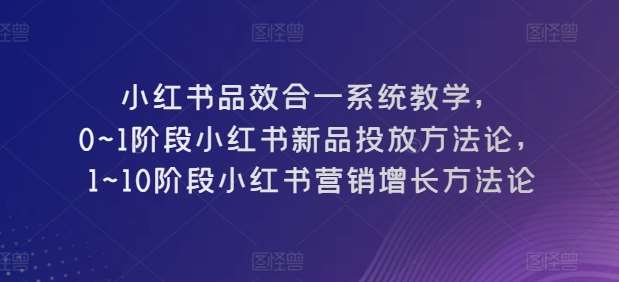 小红书品效合一系统教学，​0~1阶段小红书新品投放方法论，​1~10阶段小红书营销增长方法论-讯领网创