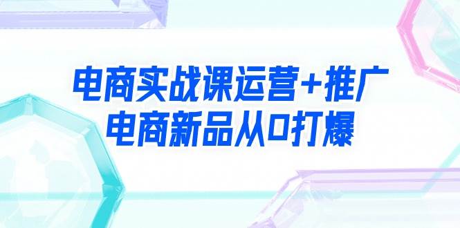 （9313期）电商实战课运营+推广，电商新品从0打爆（99节视频课）-讯领网创