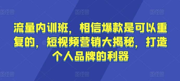 流量内训班，相信爆款是可以重复的，短视频营销大揭秘，打造个人品牌的利器-讯领网创