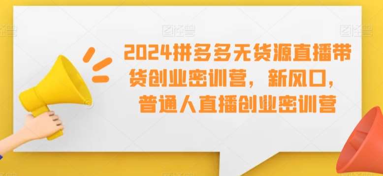 2024拼多多无货源直播带货创业密训营，新风口，普通人直播创业密训营-讯领网创