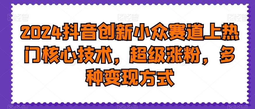 2024抖音创新小众赛道上热门核心技术，超级涨粉，多种变现方式【揭秘】-讯领网创