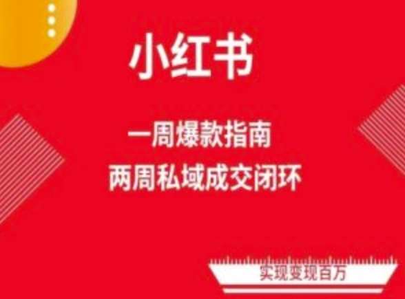 爆款小红书免费流量体系课程(两周变现)，小红书电商教程-讯领网创